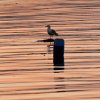 20100711_0090